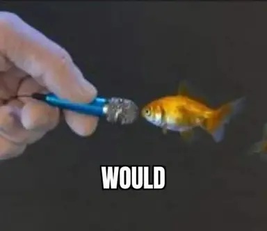 Profile image of Evil fish