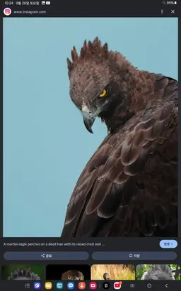 Profile image of 평학