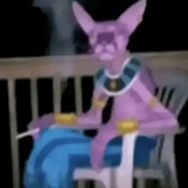 Profile image of Beerus
