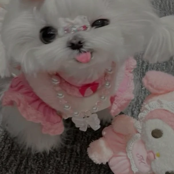 김뷁뷁이