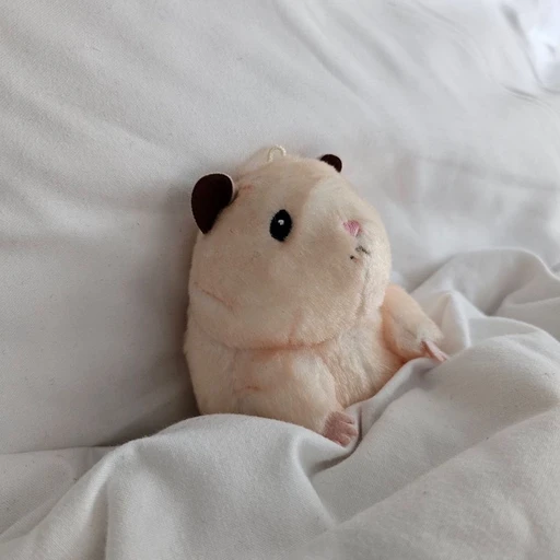 ハンビン