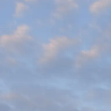 Profile image of 한지성