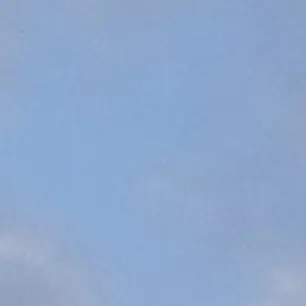 Profile image of 이여우