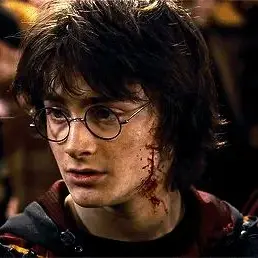 Profile image of Harry Potter