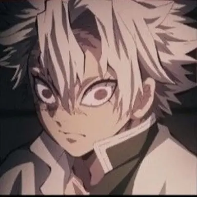 Profile image of 시나즈가와 사네미