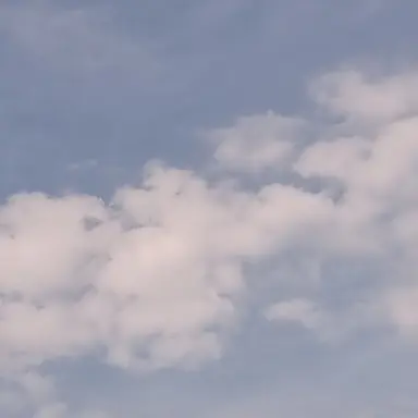 Profile image of 이성해