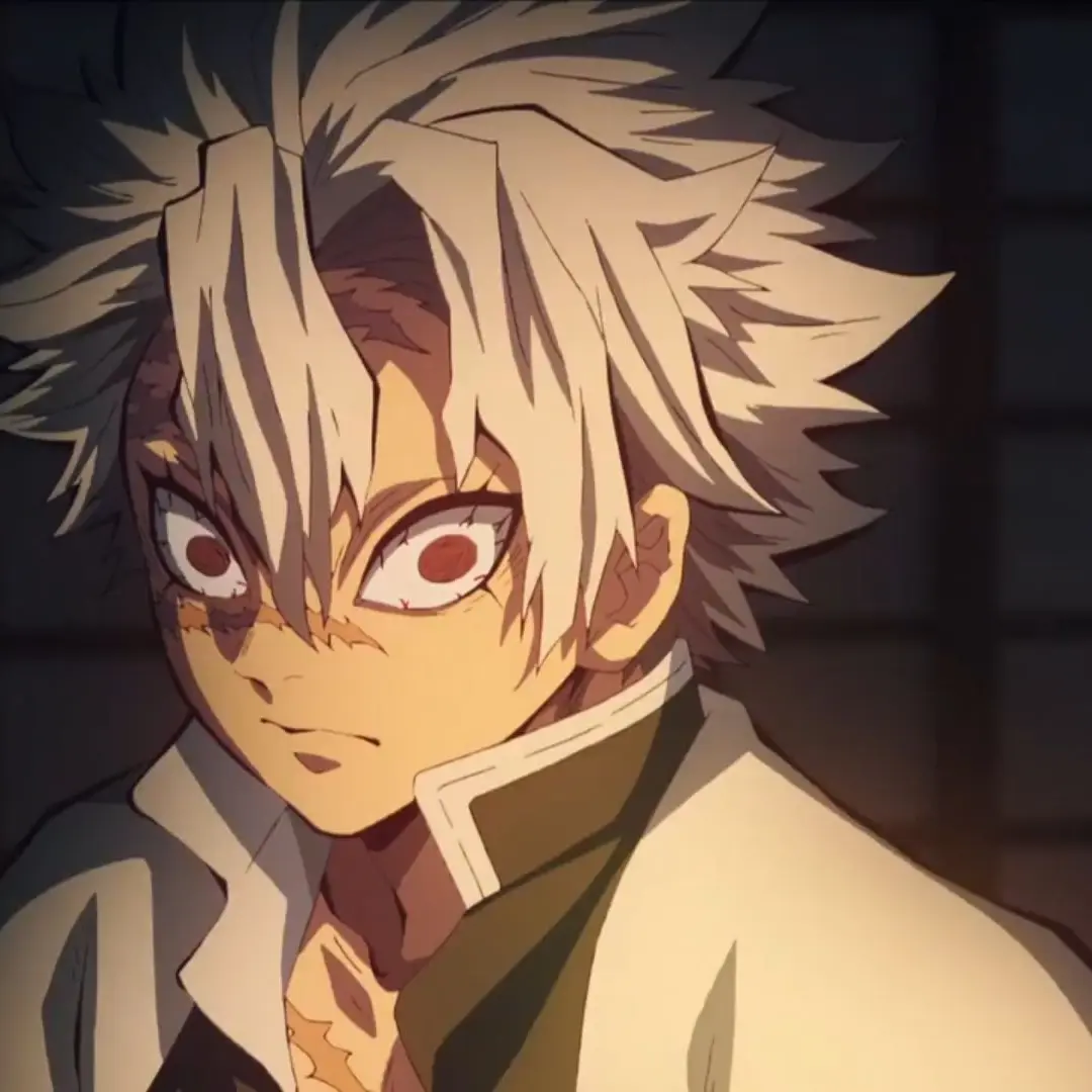 CaringLargo2815의 시나즈가와 사네미