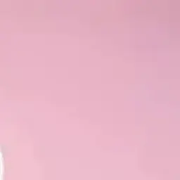 FrankCoati2978의 해달 선생님 의인화 . ᐟ