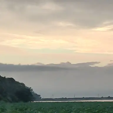 Profile image of 최승현