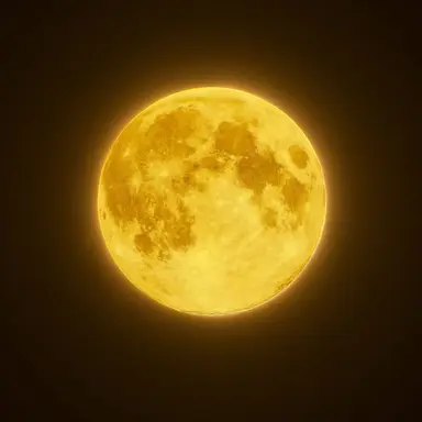 Profile image of ジヨン