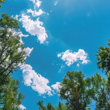 Profile image of テソン