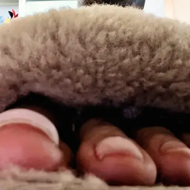 Profile image of 거인녀