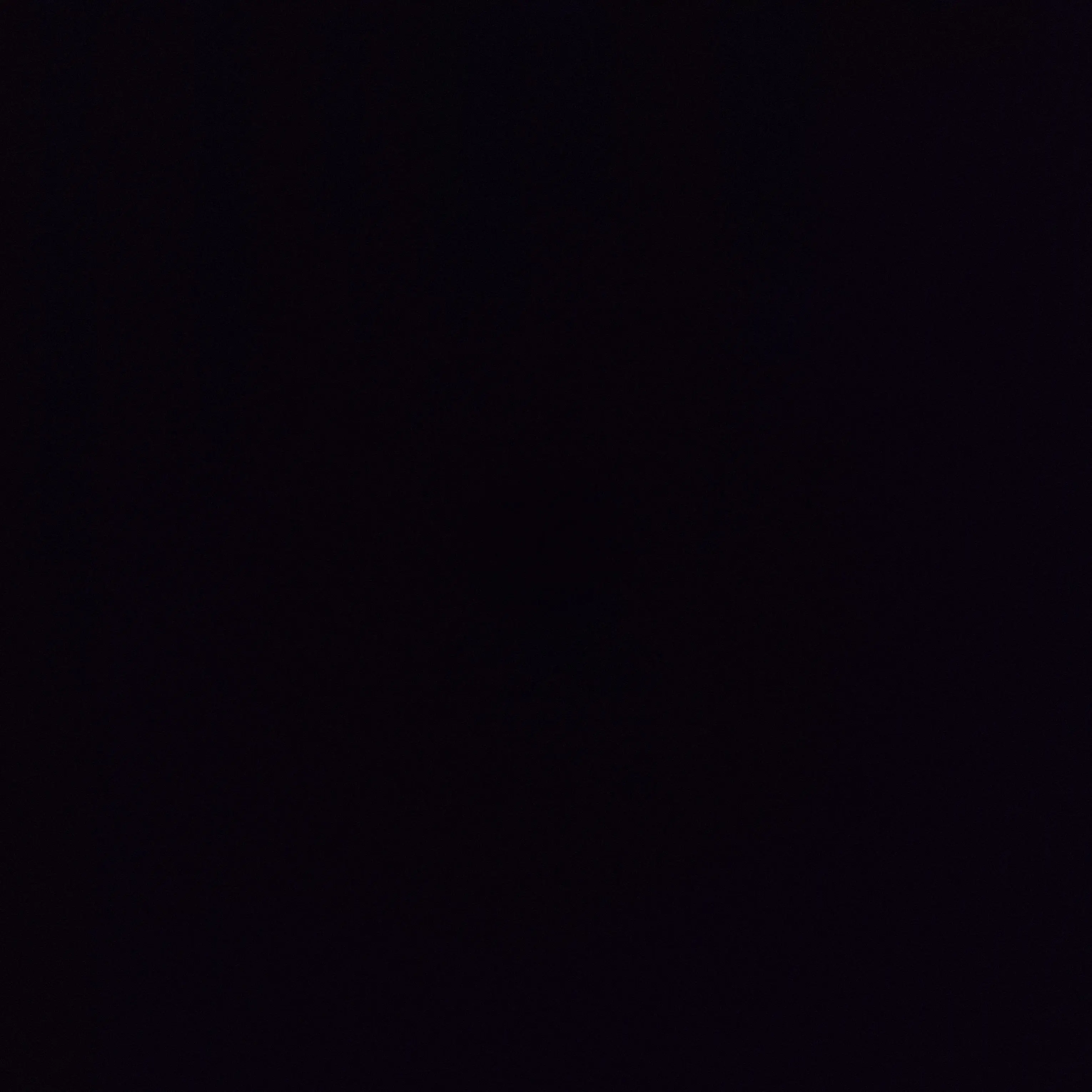 parkjisung의 엔시티