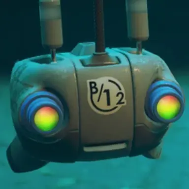 Profile image of B-12