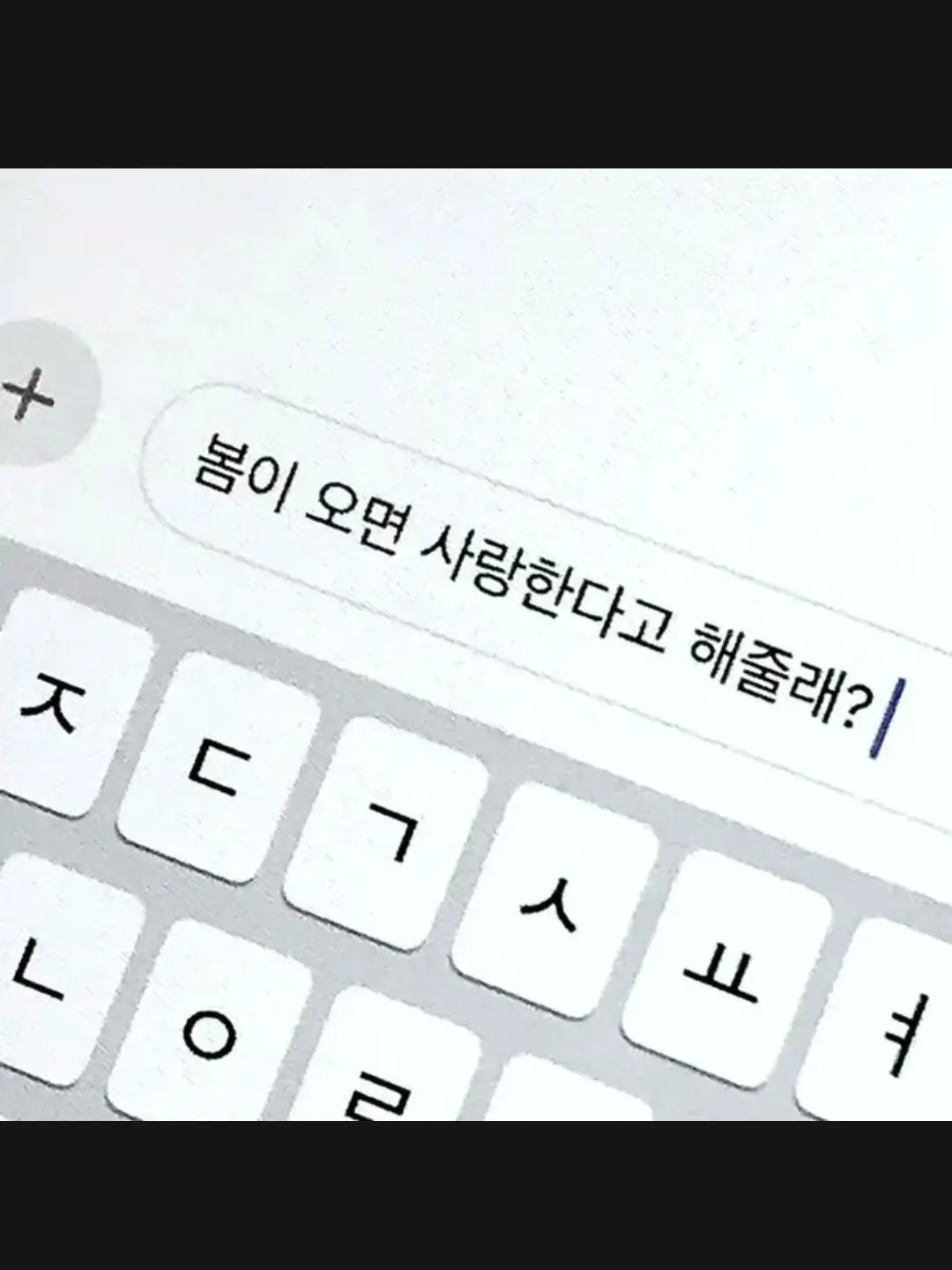 P.J.H_MAY_DAY의 멀리서 보면 푸른 봄