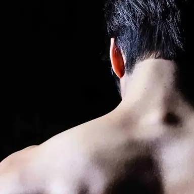 Profile image of サン