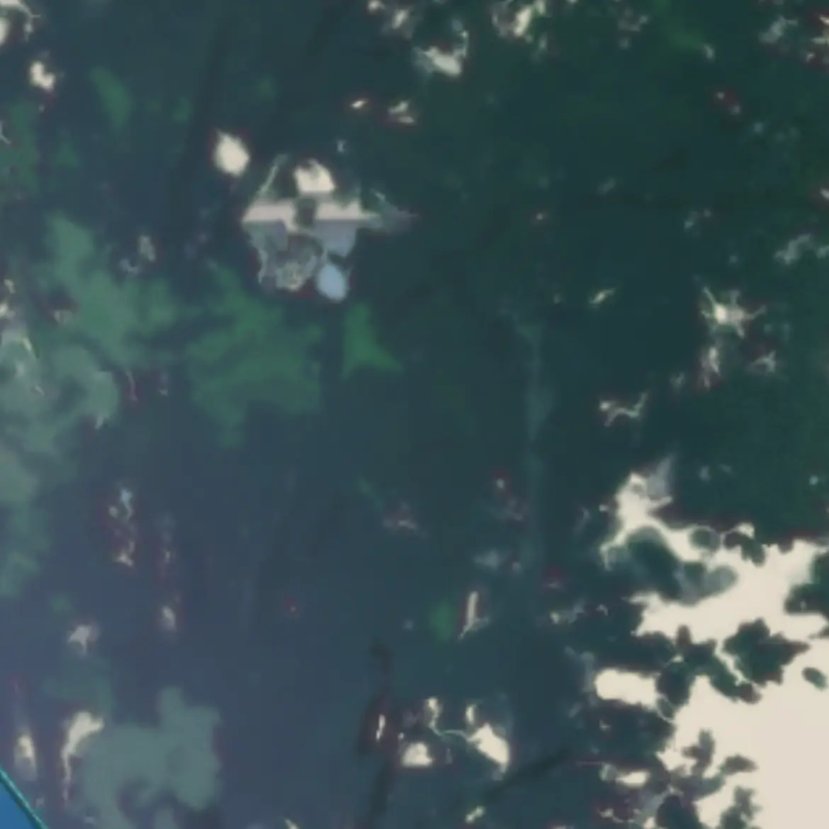 TealVideo6192의 8代目黒龍の狂犬くん