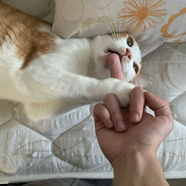 차우민 대표 이미지