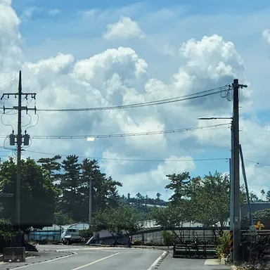 Profile image of Ellesto