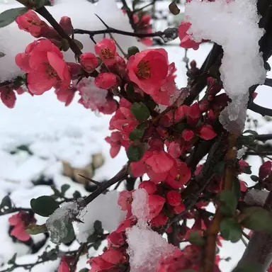 Profile image of 노아