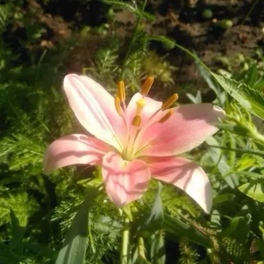 Profile image of 이꽃.