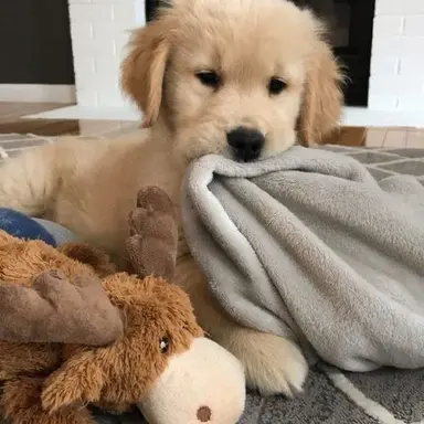 Profile image of 슼즈고