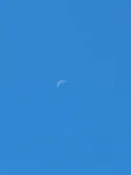 Profile image of 잠뜰