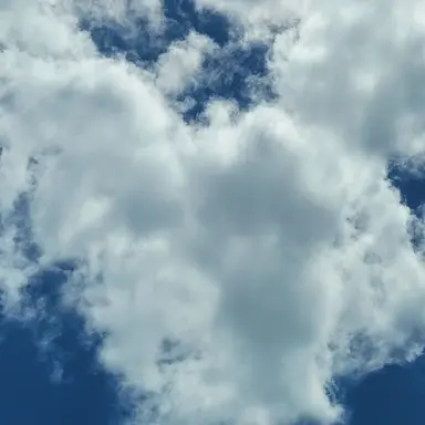 Profile image of 최예서