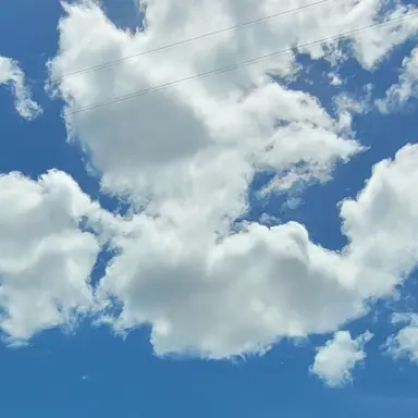 Profile image of 김서아