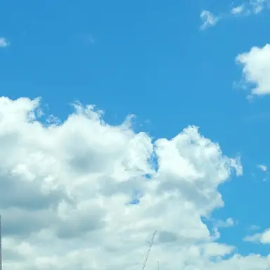 Profile image of 잼민의 사랑