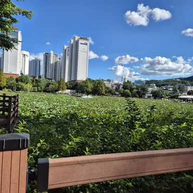 Profile image of 명은원