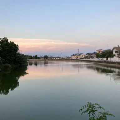 Profile image of 景色