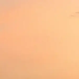 Profile image of 酒井