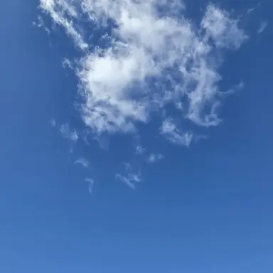 Profile image of 유저