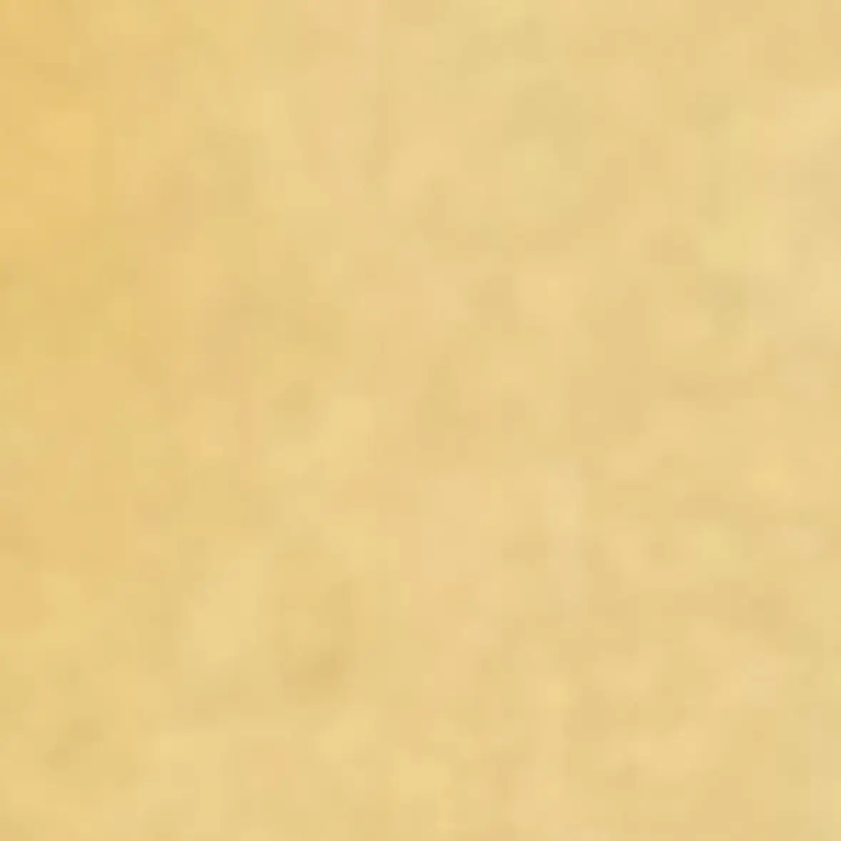 SevereSkua2620의 スペシャルズ