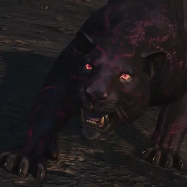 Profile image of Shadow
