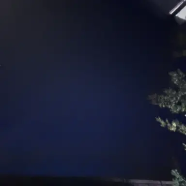 Profile image of ねりめ