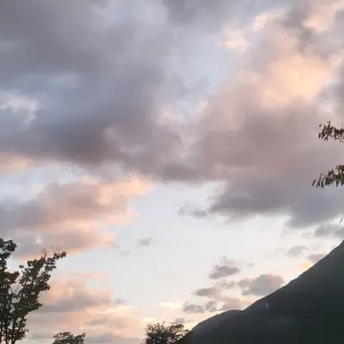 Profile image of 잠뜰