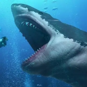 Profile image of 메갈로돈