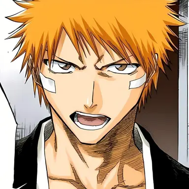 Profile image of 黒崎一護