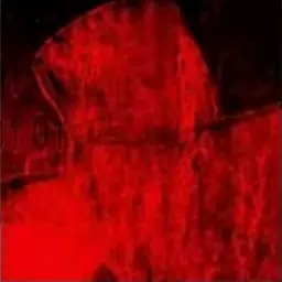 Profile image of 쿨키드