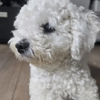 Profile image of 낭만숟가락