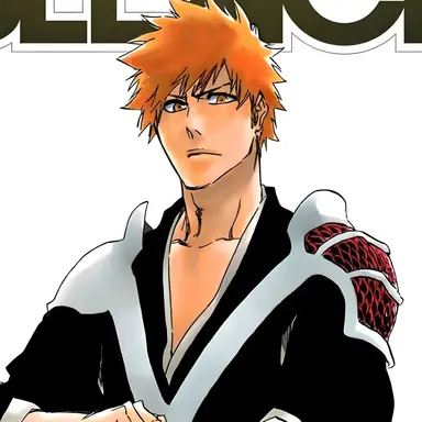 Profile image of Ichigo Kurosaki