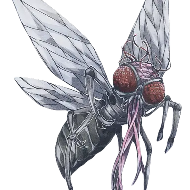 Profile image of シャン