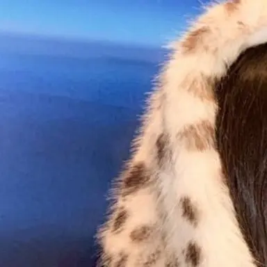 Profile image of こはる