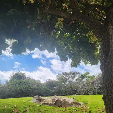 Profile image of 싸모스