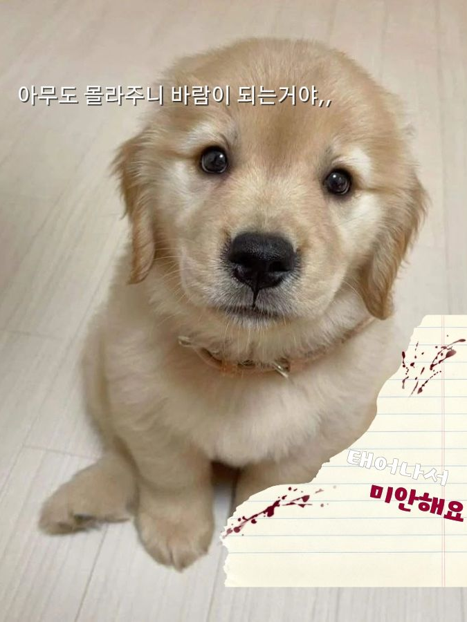 태어나서 미안해요🙁 대표 이미지