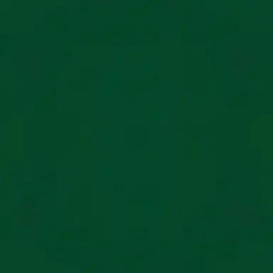 Profile image of ドラコ