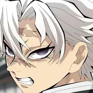 Profile image of Sanemi Shinazugawa
