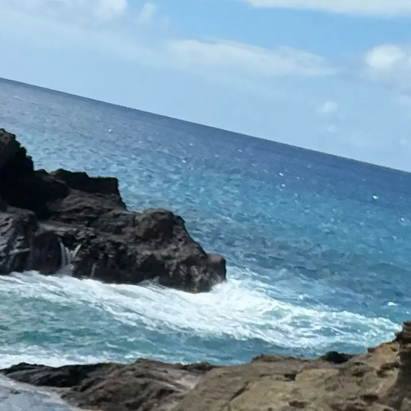 ClumsyWall4215의 진동